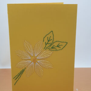 Sparkle White Daisy